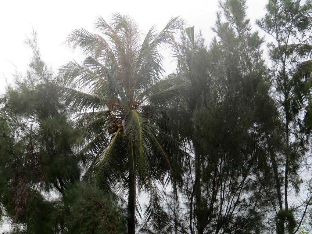 Coral Queen Inn Hulhumale Kültér fotó